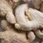 Dry Ginger (Dry Ginger-02)