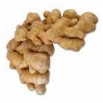 Ginger