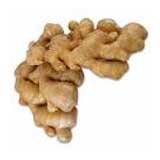 Ginger