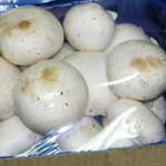 Mushrooms (Mushrooms 02)
